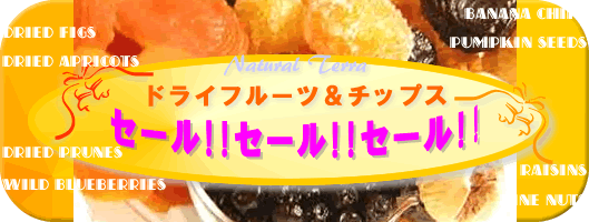 �h���C�t���[�c�A�`�b�v�X�Z�[���I