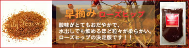 ���E�݃��[�Y�q�b�v�p�E�_�[